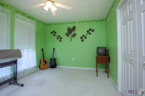 29690 Melanie St, Walker, LA 70785 photo 10