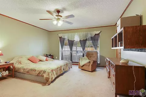 17285 Grove St, Walker, LA 70785 photo 7