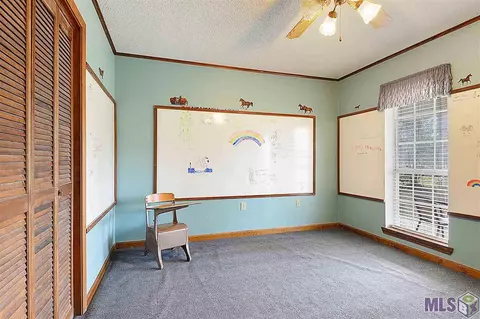 17285 Grove St, Walker, LA 70785 photo 9