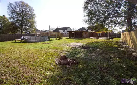 13249 David Lee Dr, Walker, LA 70785 photo 7