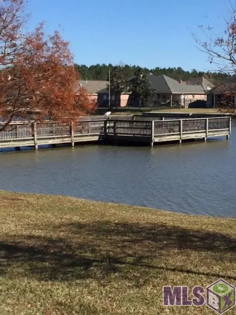 34051 Springlake Dr, Walker, LA 70785 photo 7