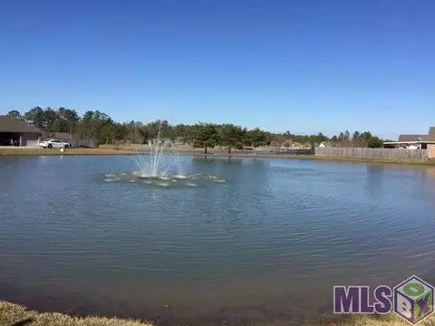 34051 Springlake Dr, Walker, LA 70785 photo 14