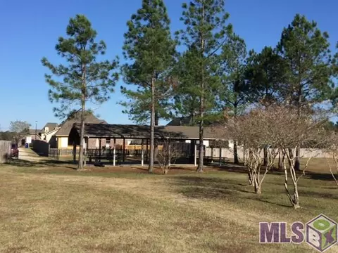 34051 Springlake Dr, Walker, LA 70785 photo 15