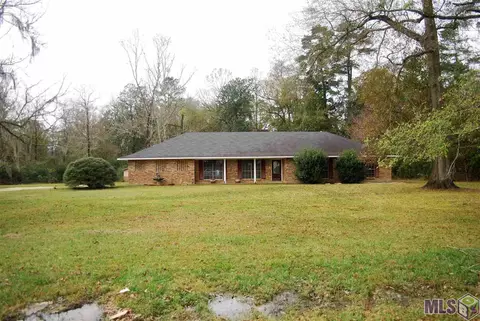 28401 Magnolia, Walker, LA 70785 photo 6