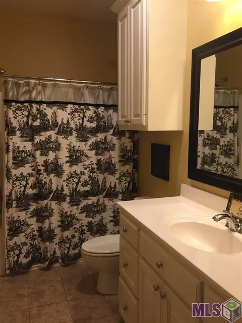 11380 Peaks Ave, Walker, LA 70785 photo 9