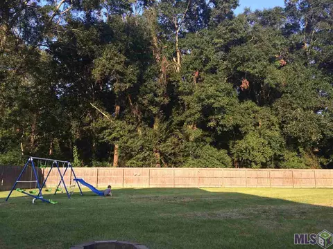 11380 Peaks Ave, Walker, LA 70785 photo 10