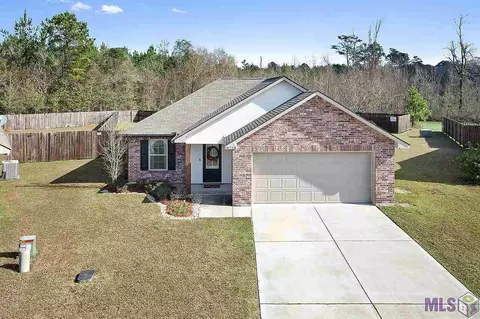 12746 Darby Dr, Walker, LA 70785 photo 10