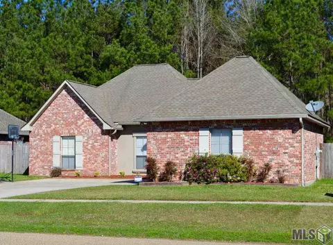33853 Natures Way, Walker, LA 70785 photo 2