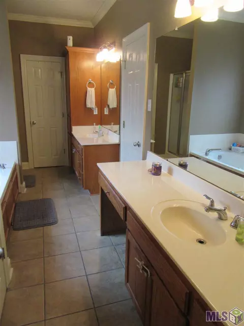 32825 Briar Oak Dr, Walker, LA 70785 photo 21