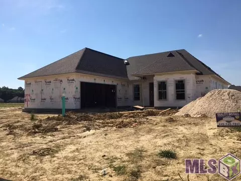 16038 Greycliff Ave, Pride, LA 70770 photo 1