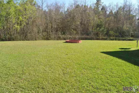 12296 Creekside Ave, Walker, LA 70785 photo 15