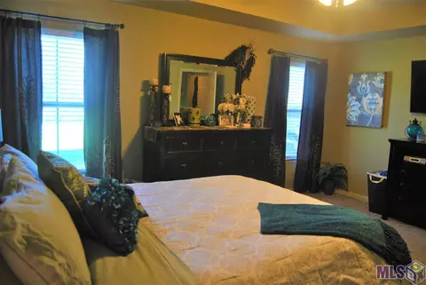 12296 Creekside Ave, Walker, LA 70785 photo 10