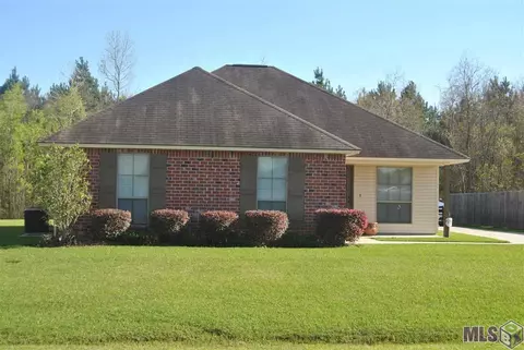 12296 Creekside Ave, Walker, LA 70785 photo 2