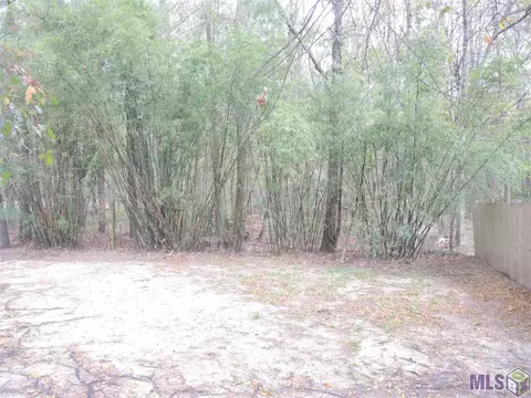 28804 Brett Dr, Walker, LA 70785 photo 18