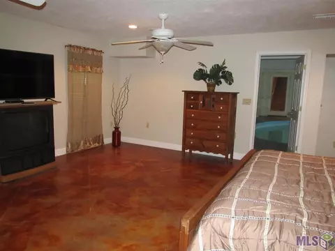 31393 River Pines Dr, Springfield, LA 70462 photo 10