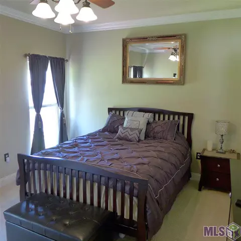 11175 Peaks Ave, Walker, LA 70785 photo 6