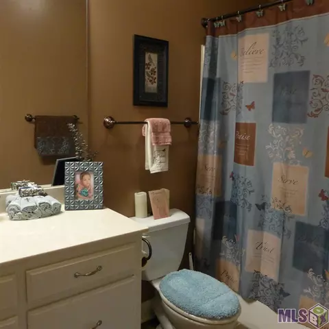 11175 Peaks Ave, Walker, LA 70785 photo 15