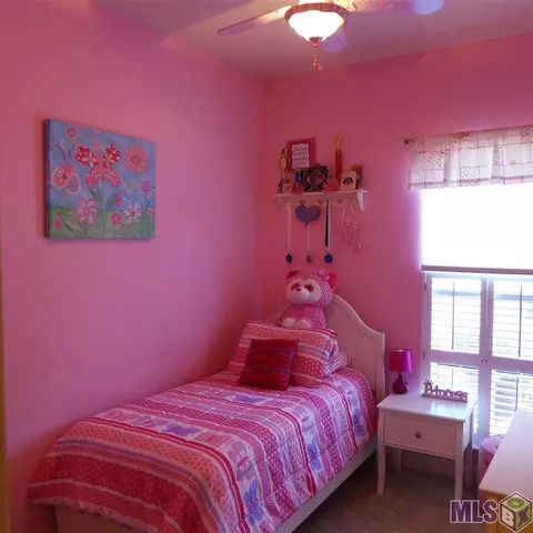 11175 Peaks Ave, Walker, LA 70785 photo 14