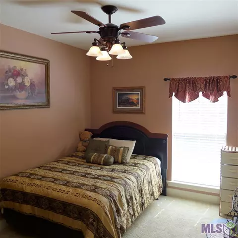 11175 Peaks Ave, Walker, LA 70785 photo 16