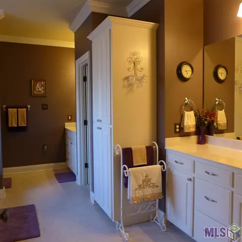 11175 Peaks Ave, Walker, LA 70785 photo 7