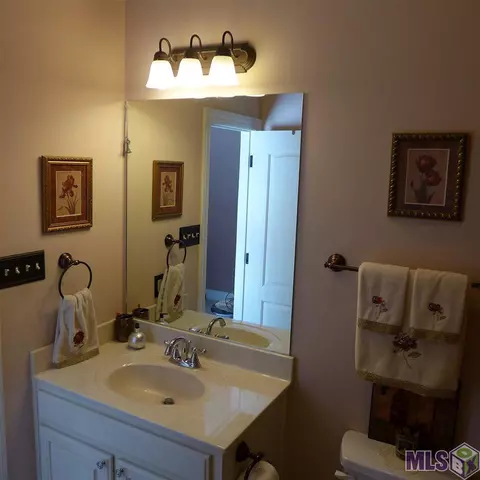 11175 Peaks Ave, Walker, LA 70785 photo 17