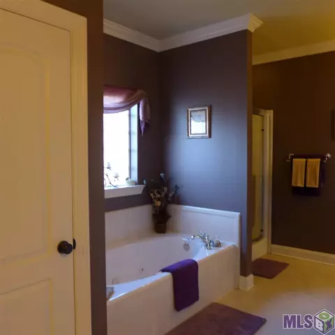 11175 Peaks Ave, Walker, LA 70785 photo 9