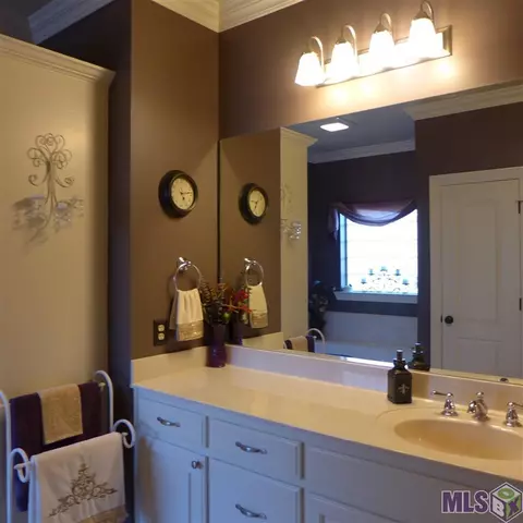 11175 Peaks Ave, Walker, LA 70785 photo 8