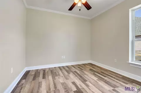28025 Great Eagle Ave, Walker, LA 70785 photo 13