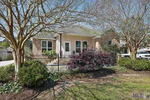 28025 Great Eagle Ave, Walker, LA 70785 photo 1