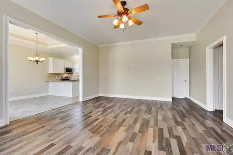 28025 Great Eagle Ave, Walker, LA 70785 photo 4