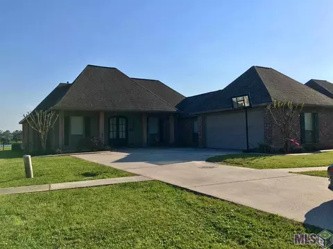 12436 Winter Ridge Dr, Walker, LA 70785 photo 1