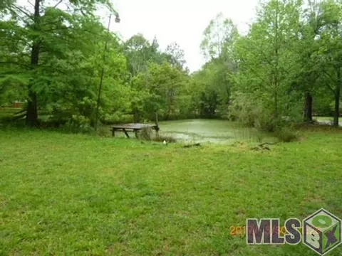 33110 Mack Rd, Walker, LA 70785 photo 8