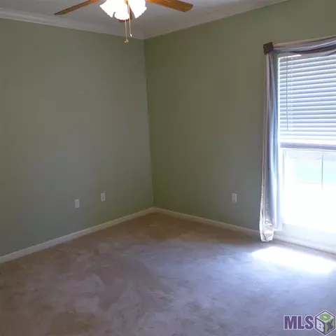 34083 Springlake Dr, Walker, LA 70785 photo 20