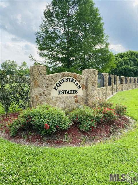33745 N Walker Rd, Walker, LA 70785 photo 1
