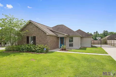 12246 Greenbriar Dr, Walker, LA 70785 photo 1