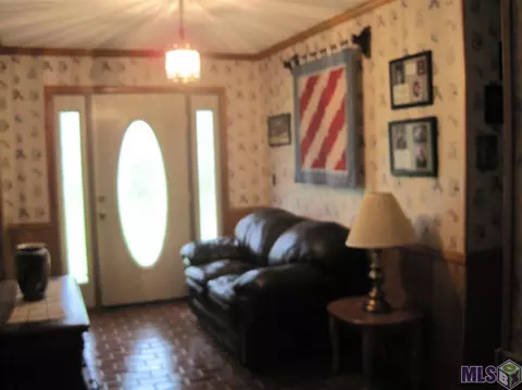 12446 Debate Rd, Geismar, LA 70734 photo 5