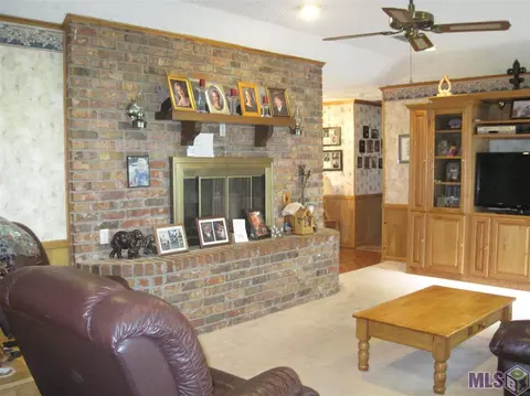 12446 Debate Rd, Geismar, LA 70734 photo 6