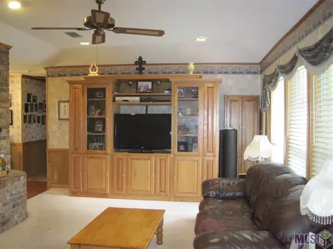 12446 Debate Rd, Geismar, LA 70734 photo 7