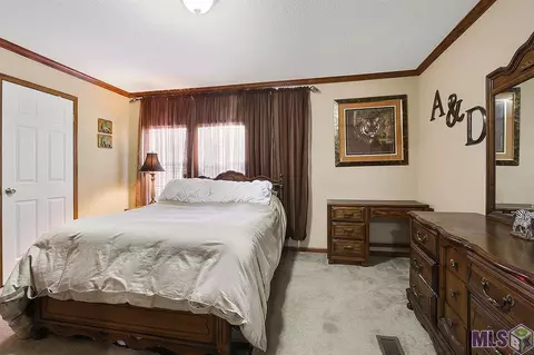 14355 Salt Dome Rd, Walker, LA 70785 photo 8