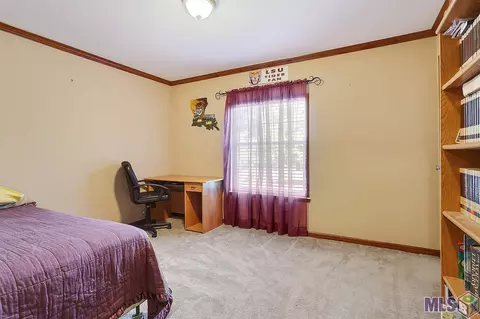 14355 Salt Dome Rd, Walker, LA 70785 photo 6