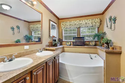 14355 Salt Dome Rd, Walker, LA 70785 photo 9