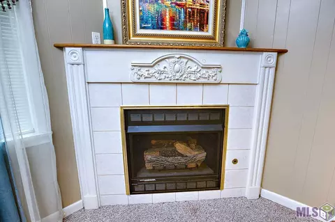 14641 Springfield Rd, Walker, LA 70785 photo 9