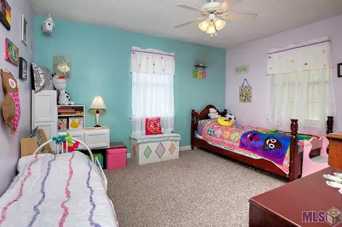 14641 Springfield Rd, Walker, LA 70785 photo 15