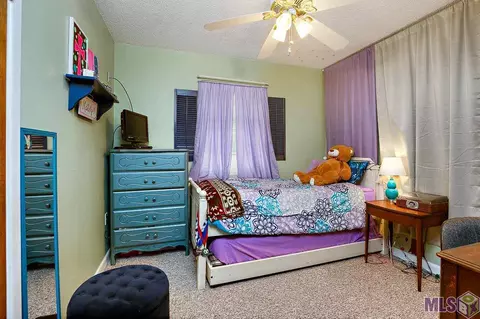 14641 Springfield Rd, Walker, LA 70785 photo 17
