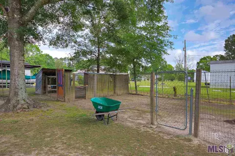 14641 Springfield Rd, Walker, LA 70785 photo 18