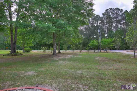 14641 Springfield Rd, Walker, LA 70785 photo 23
