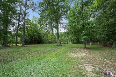 16780 Stubbs Ln, Pride, LA 70770 photo 9