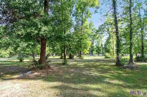 12923 Pendarvis Ln, Walker, LA 70785 photo 6