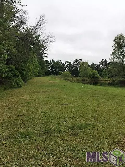 12205 Clanton Dr, Walker, LA 70785 photo 12