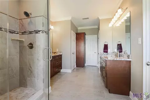 28018 Great Eagle Ave, Walker, LA 70785 photo 7